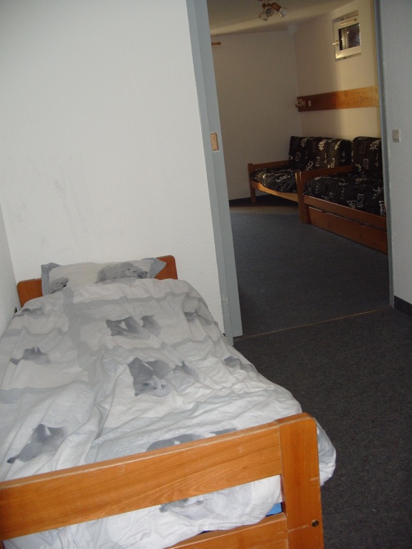 Location Les 2 Alpes :