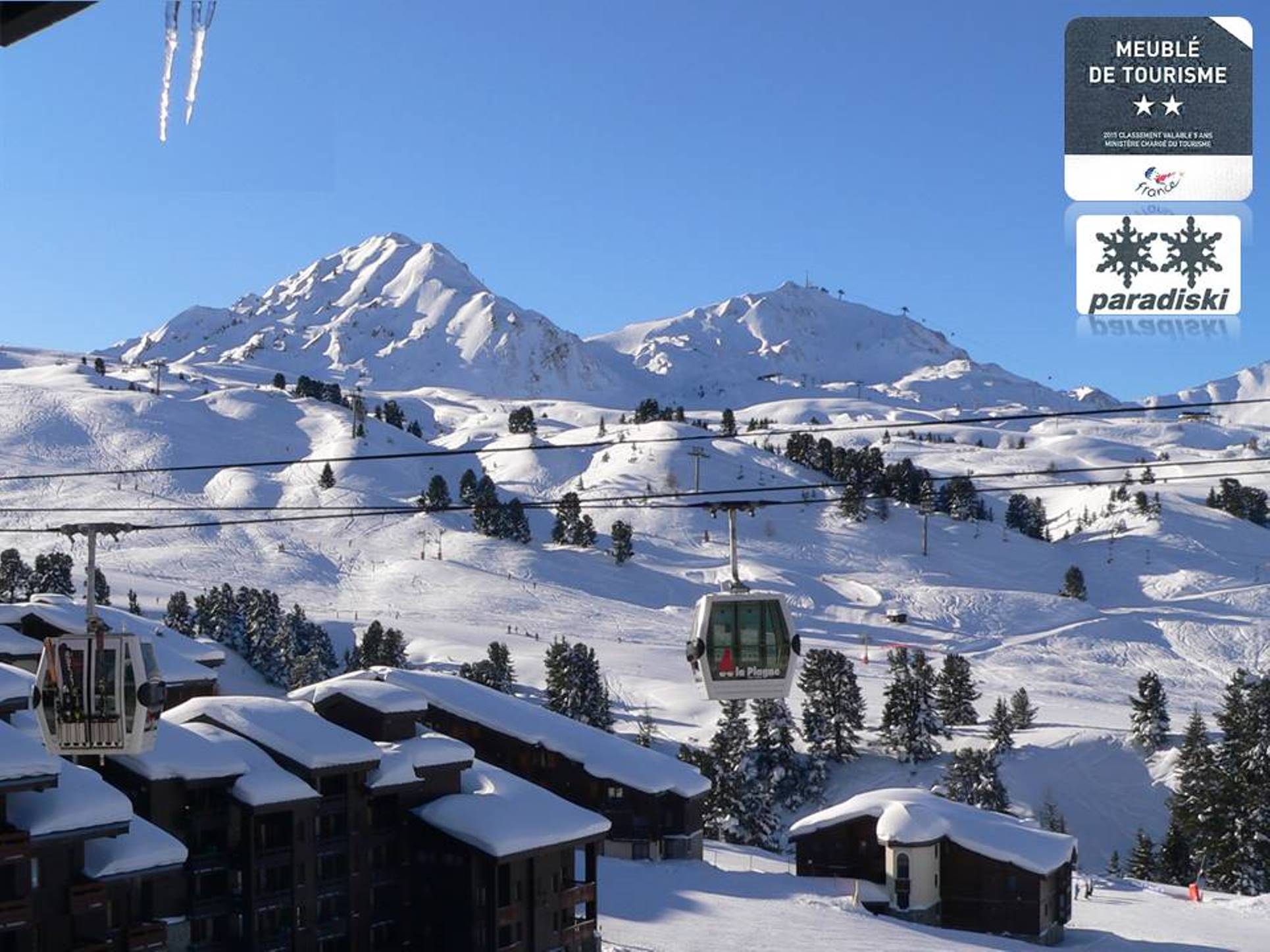 Location Appartement Ski La Plagne Location Appartement Ski La Plagne
