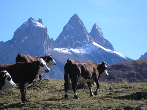 Location Saint Jean d'Arves : Une vue sur les Aiguilles d'Arves en Automne