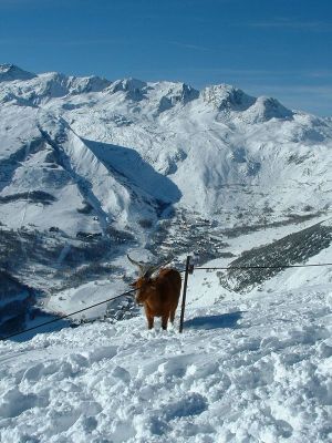 Location Le Corbier : Les pistes des SYbelles